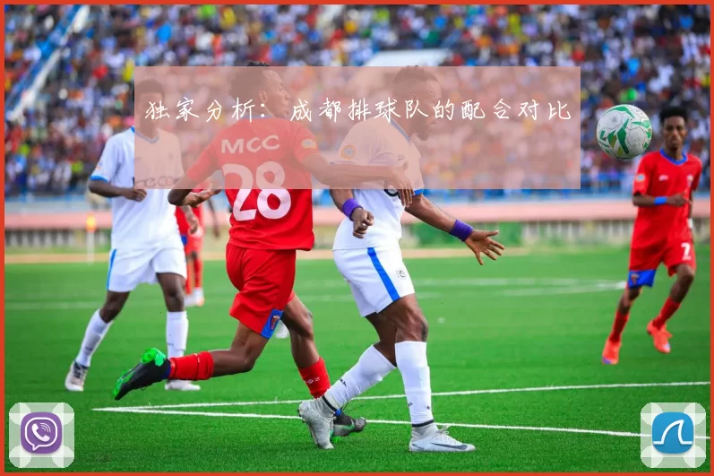 独家分析：成都排球队的配合对比