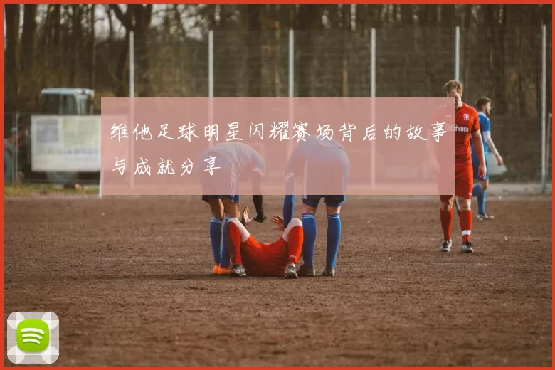 维他足球明星闪耀赛场背后的故事与成就分享