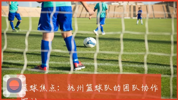 篮球焦点：杭州篮球队的团队协作探讨