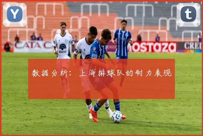 数据分析：上海排球队的耐力表现