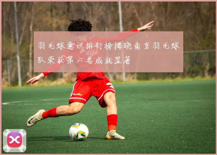 羽毛球意识排行榜揭晓南京羽毛球队荣获第六名成就显著
