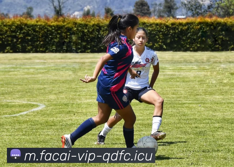 开云体育APP 高清赛事图